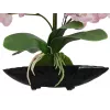 EUROPALMS composizione di orchidee (EVA), artificiale, viola (82530339)