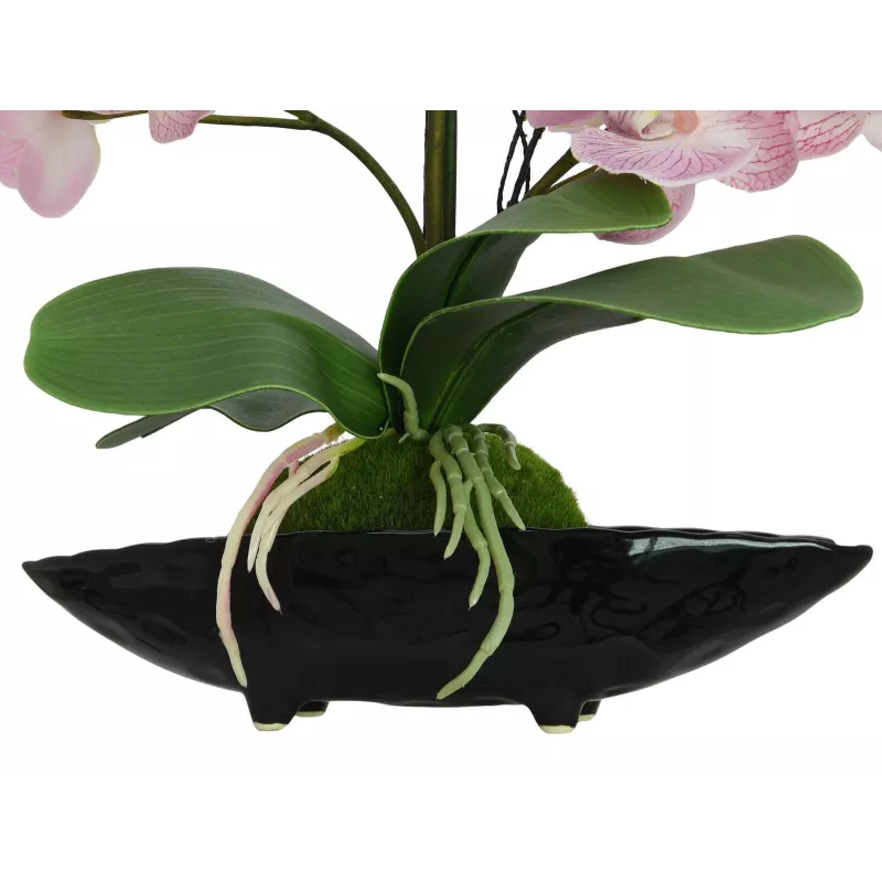 EUROPALMS composizione di orchidee (EVA), artificiale, viola (82530339)