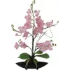 EUROPALMS composizione di orchidee (EVA), artificiale, viola (82530339)