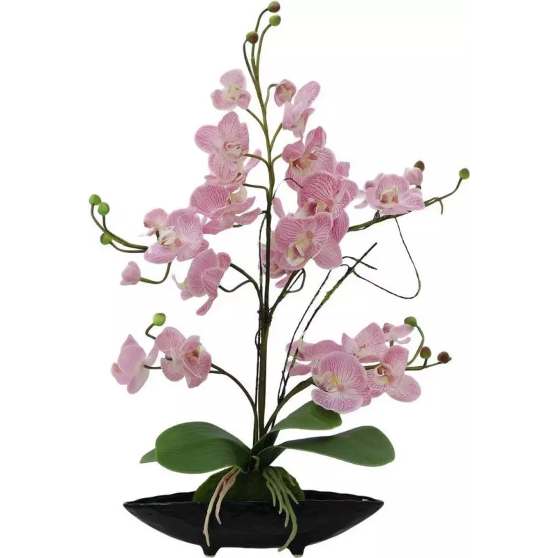 EUROPALMS composizione di orchidee (EVA), artificiale, viola (82530339)