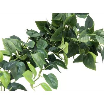 EUROPALMS Pothos Cespuglio frangivista Classic, artificiale, 100cm 82502203