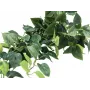 EUROPALMS Pothos Cespuglio frangivista Classic, artificiale, 100cm 82502203