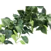 EUROPALMS Pothos Cespuglio frangivista Classic, artificiale, 100cm 82502203