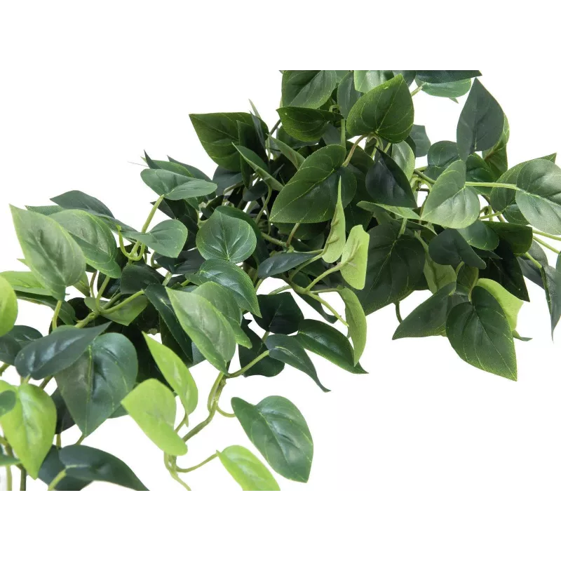 EUROPALMS Pothos Cespuglio frangivista Classic, artificiale, 100cm 82502203