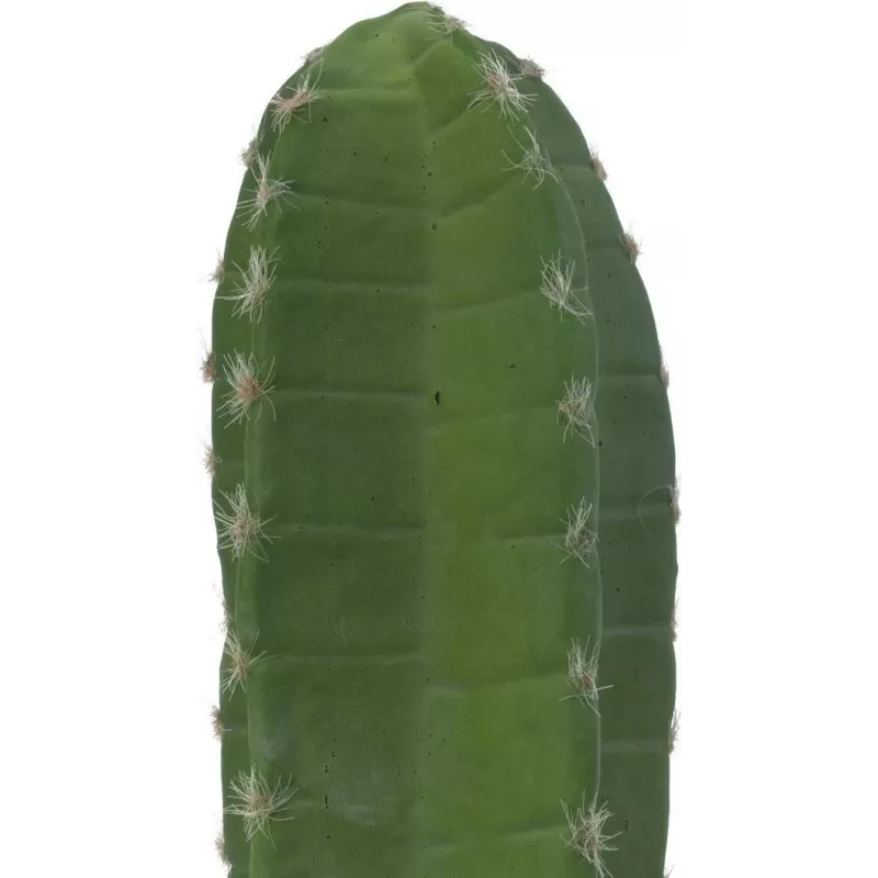 EUROPALMS Cactus messicano pianta artificiale, verde, 97 cm 82801070