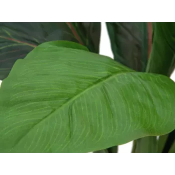 EUROPALMS Cespuglio di bietola artificiale, 45cm, verde 82508302