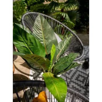 EUROPALMS Cespuglio di bietola artificiale, 45cm, verde 82508302