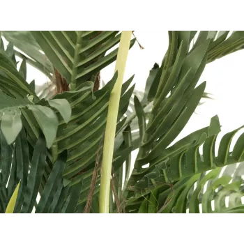 EUROPALMS Kentia Palma pianta artificiale 180cm 82511367