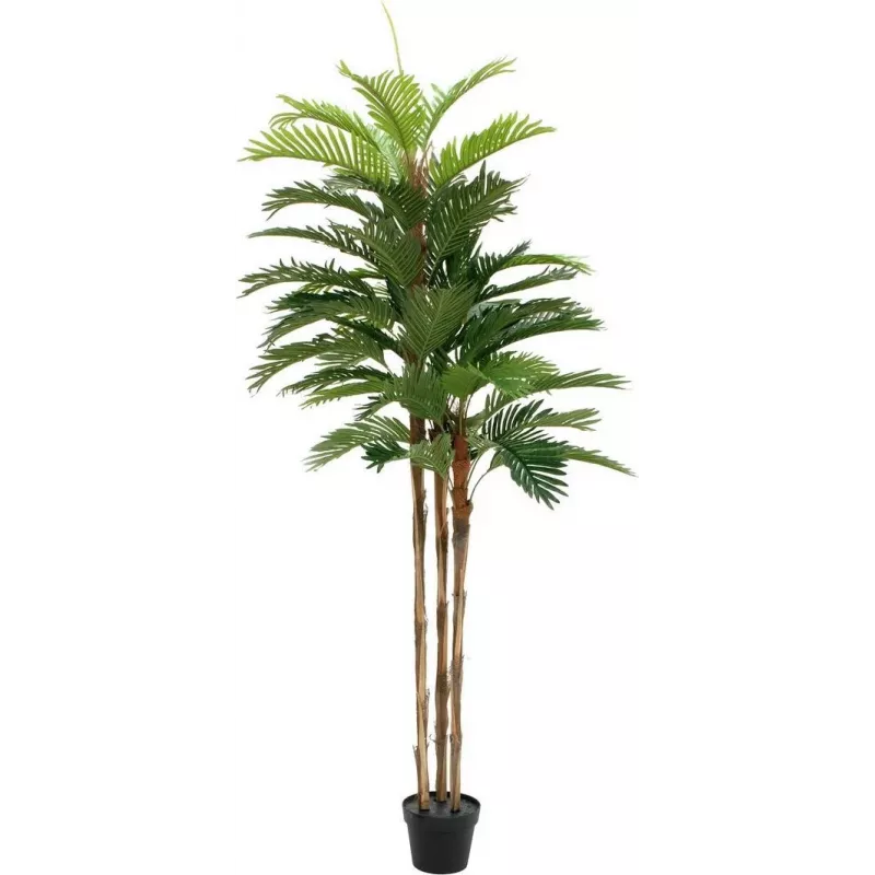 EUROPALMS Kentia Palma pianta artificiale 180cm 82511367