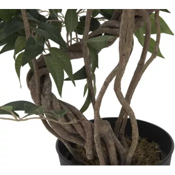 EUROPALMS Ficus Multi Spiral Trunk pianta artificiale, 130cm 82806314