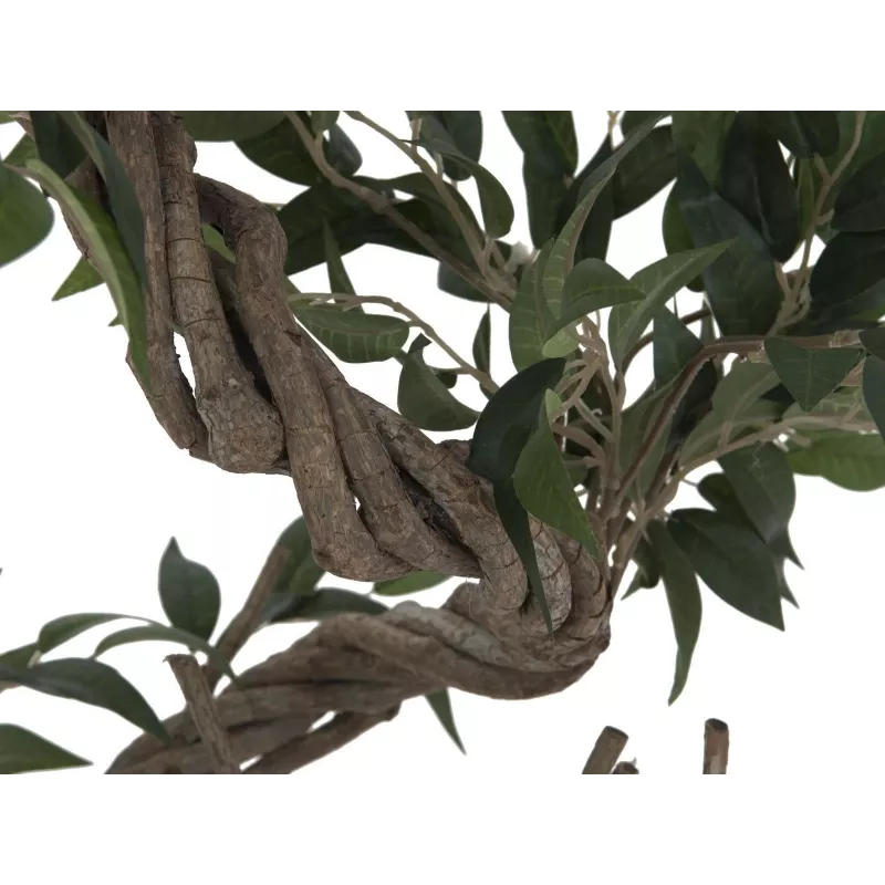 EUROPALMS Ficus Multi Spiral Trunk pianta artificiale, 130cm 82806314