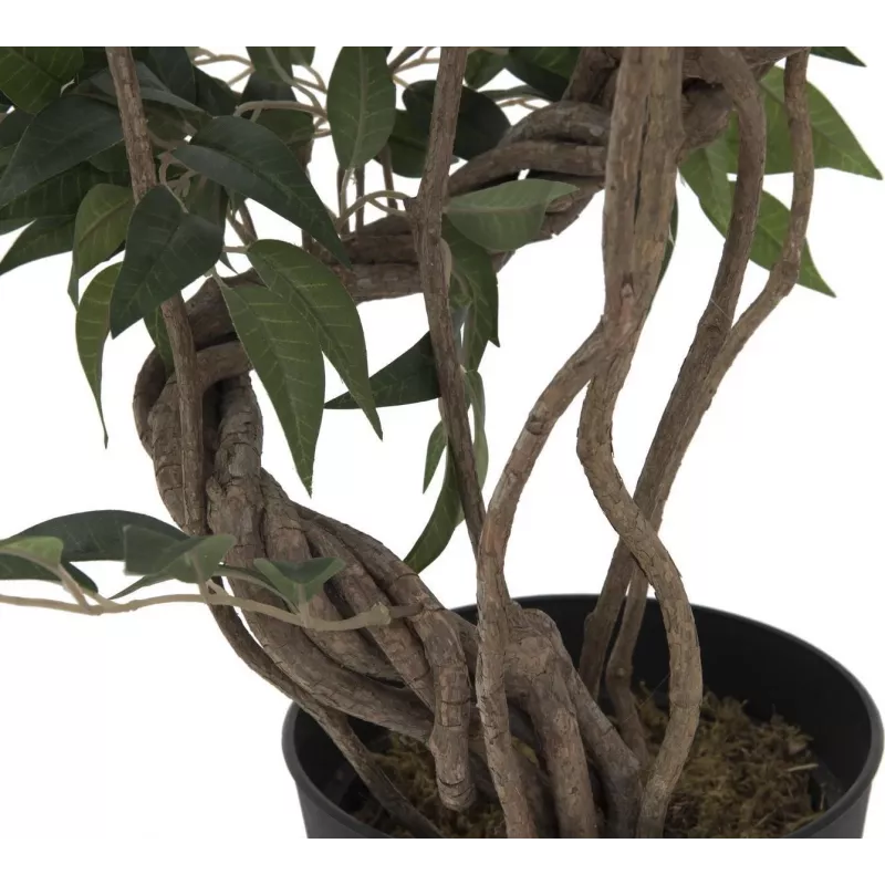 EUROPALMS Ficus Multi Spiral Trunk pianta artificiale, 130cm 82806314