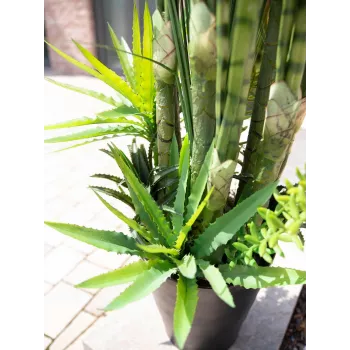 EUROPALMS Mix di piante succulente artificiali, 190cm 82600035