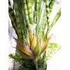 EUROPALMS Mix di piante succulente artificiali, 190cm 82600035