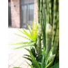 EUROPALMS Mix di piante succulente artificiali, 190cm 82600035