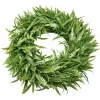 EUROPALMS Ghirlanda di lavanda, 30 cm (83500504)