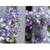 EUROPALMS Ghirlanda di lavanda artificiale, viola, 180 cm 82503727