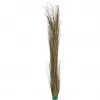 EUROPALMS Erba di canneto artificiale, khaki, 127 cm 82505853