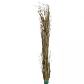 EUROPALMS Erba di canneto artificiale, khaki, 127 cm 82505853