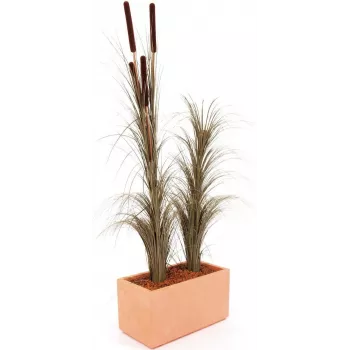 EUROPALMS Erba di canneto artificiale con spighe, marrone scuro, 152 cm 82505857