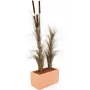 EUROPALMS Erba di canneto artificiale con spighe, marrone scuro, 152 cm 82505857