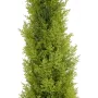 EUROPALMS Cipresso di Leyland pianta artificiale, 120 cm, fogliame verde, vaso nero 82606964