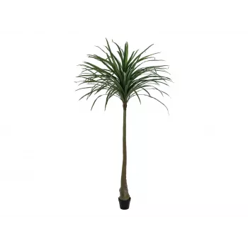 EUROPALMS Dracena pianta artificiale, verde, 220 cm 82505798