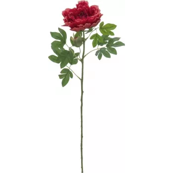 EUROPALMS Classic Peony Branch Pianta artificiale, magenta, 80 cm 82530211