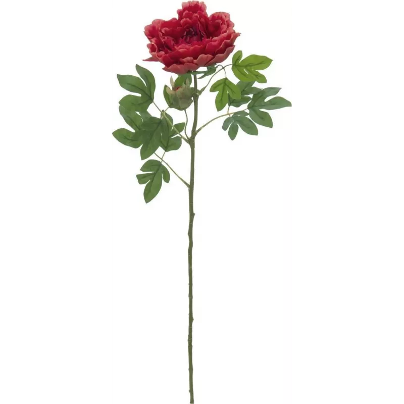 EUROPALMS Classic Peony Branch Pianta artificiale, magenta, 80 cm 82530211