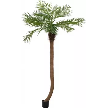 EUROPALMS Luxor Palma phoenix artificiale curva, 240 cm 82510726