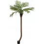 EUROPALMS Luxor Palma phoenix artificiale curva, 240 cm 82510726