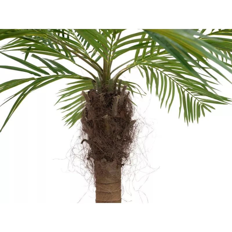 EUROPALMS Luxor Palma phoenix artificiale curva, 240 cm 82510726
