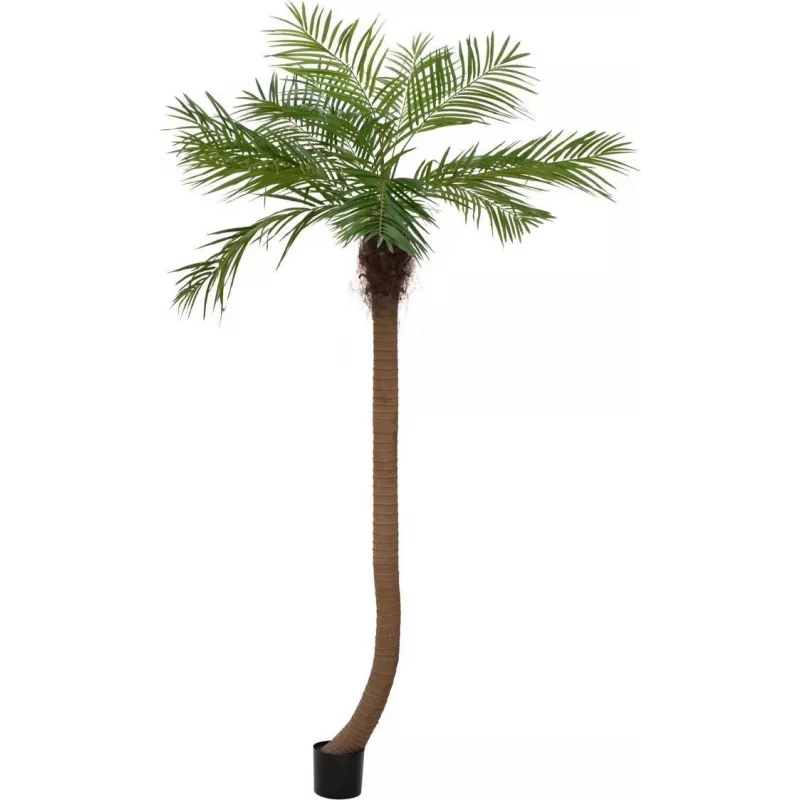 EUROPALMS Luxor Palma phoenix artificiale curva, 240 cm 82510726