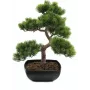 EUROPALMS Pino bonsai pianta artificiale, 50 cm 82600110