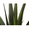 EUROPALMS pianta artificiale di aloe vera, 60 cm, vaso nero 82600167