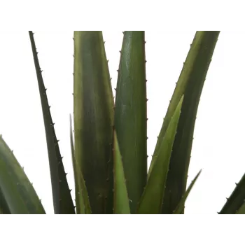 EUROPALMS pianta artificiale di aloe vera, 60 cm, vaso nero 82600167