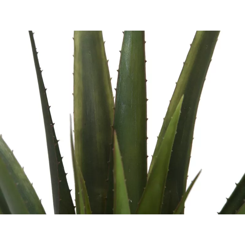 EUROPALMS pianta artificiale di aloe vera, 60 cm, vaso nero 82600167