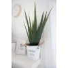 EUROPALMS pianta artificiale di aloe vera, 60 cm, vaso nero 82600167