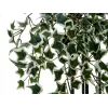 EUROPALMS Holland Ivy Hedge Screen Classic, artificiale, 60 cm 82502210