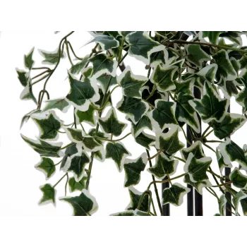 EUROPALMS Holland Ivy Hedge Screen Classic, artificiale, 60 cm 82502210