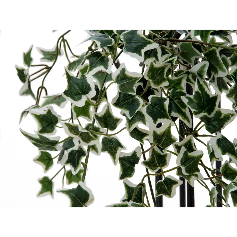 EUROPALMS Holland Ivy Hedge Screen Classic, artificiale, 60 cm 82502210