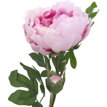 EUROPALMS ramo di peonia Classic, pianta artificiale, rosa, 80 cm 82530210