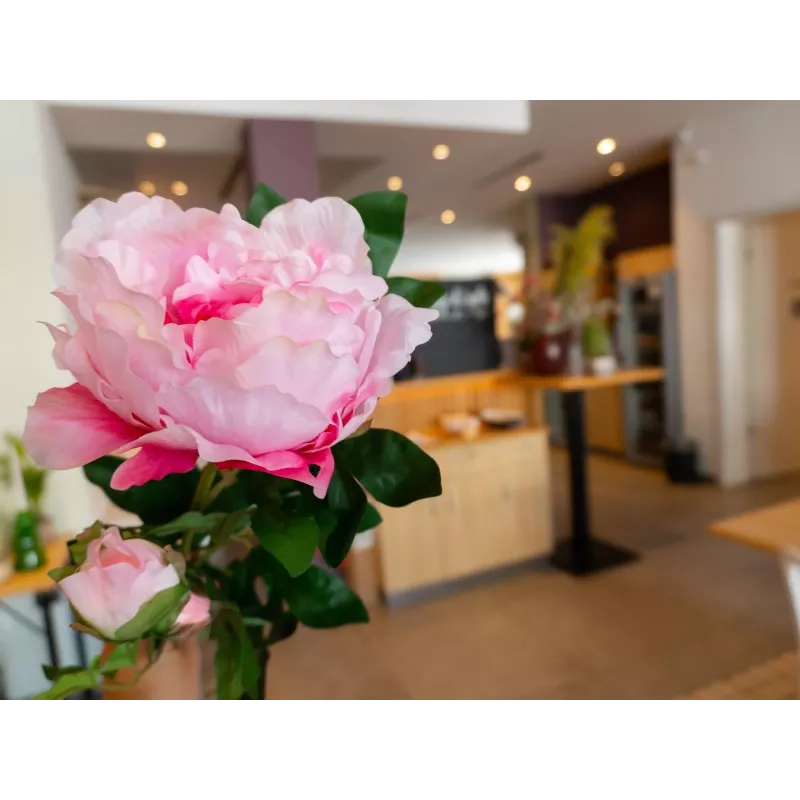 EUROPALMS ramo di peonia Classic, pianta artificiale, rosa, 80 cm 82530210