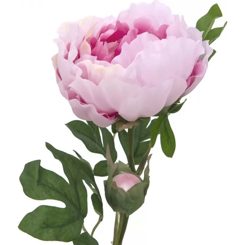 EUROPALMS ramo di peonia Classic, pianta artificiale, rosa, 80 cm 82530210