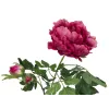 EUROPALMS ramo di peonia Premium pianta artificiale, magenta, 100 cm 82530221