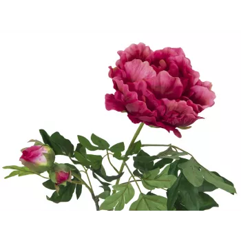 EUROPALMS ramo di peonia Premium pianta artificiale, magenta, 100 cm 82530221