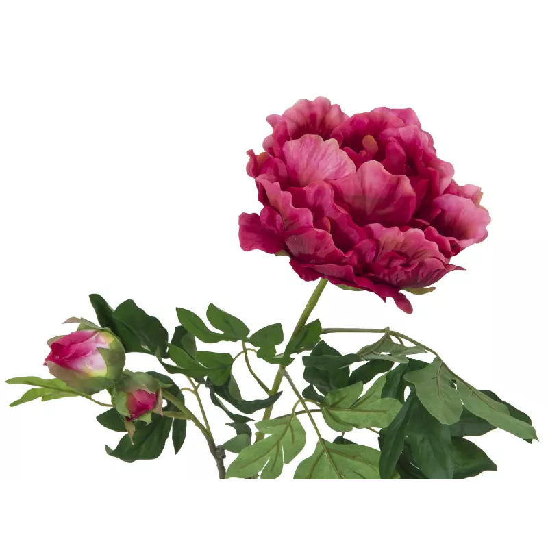 EUROPALMS ramo di peonia Premium pianta artificiale, magenta, 100 cm 82530221