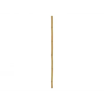 EUROPALMS canna di bambù, Ø 5 cm, 200 cm 83313201