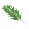 EUROPALMS foglie di palma da cocco, artificiali, 110 cm, confezione da 12 82509897