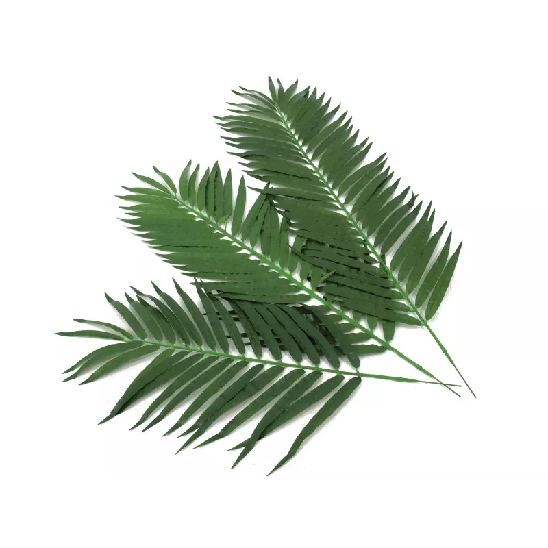 EUROPALMS foglie di palma da cocco, artificiali, 110 cm, confezione da 12 82509897